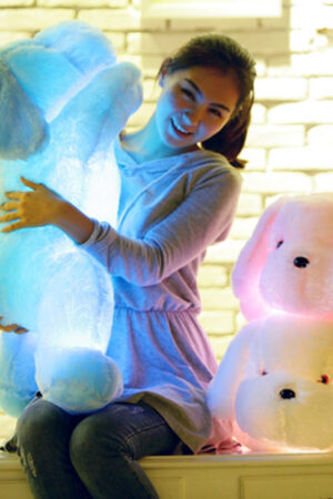 LED Colorful Glowing Cute Dog Doll