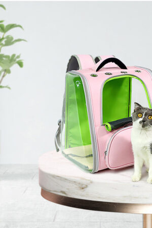 Portable Transparent Space Capsule Cat Bag