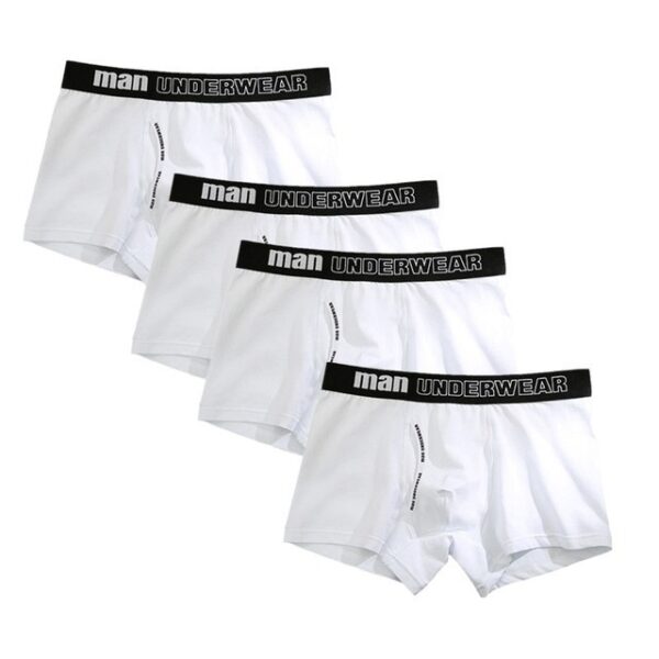 4pcs Boxer Mens Cotton Underpants - Image 6