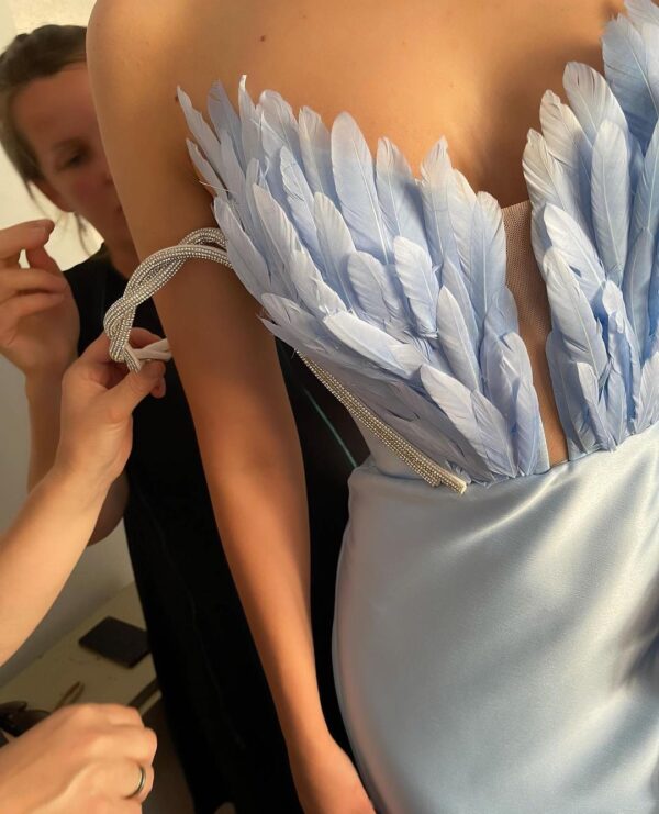 A Dress With Feathers Sweeping The Floor - Image 2