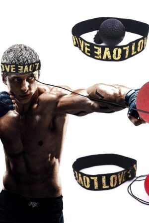 Boxing Reflex Speed Punch Ball
