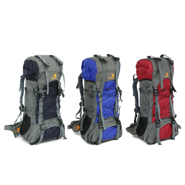 Extra Large Outdoor 60L Travel Backpack - Image 2