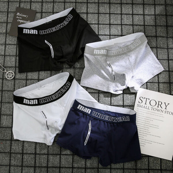 4pcs Boxer Mens Cotton Underpants - Image 3