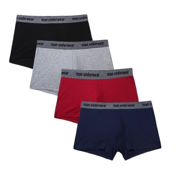 4pcs Boxer Mens Cotton Underpants - Image 10