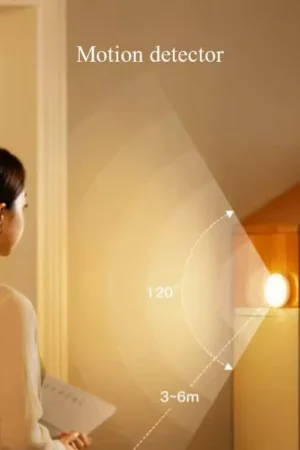 Motion Sensor LED Night Light
