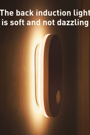 Human induction home light