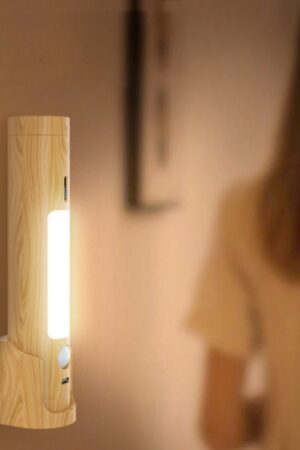Smart Home Charging Induction Lamp Multi