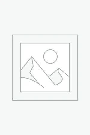 Women's Clothing